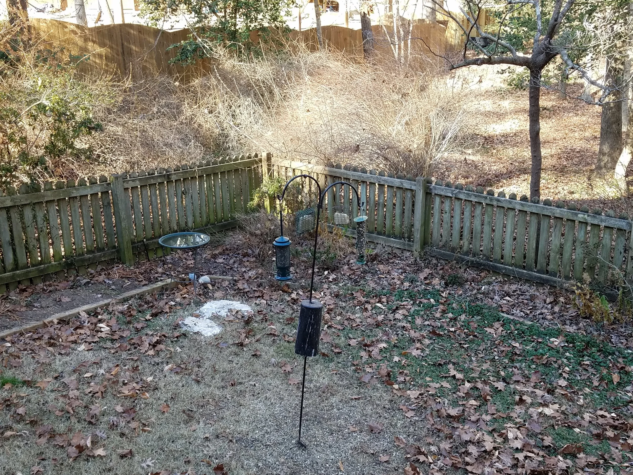 Our frigid back yard this morning, after filling the feeders and bird bath