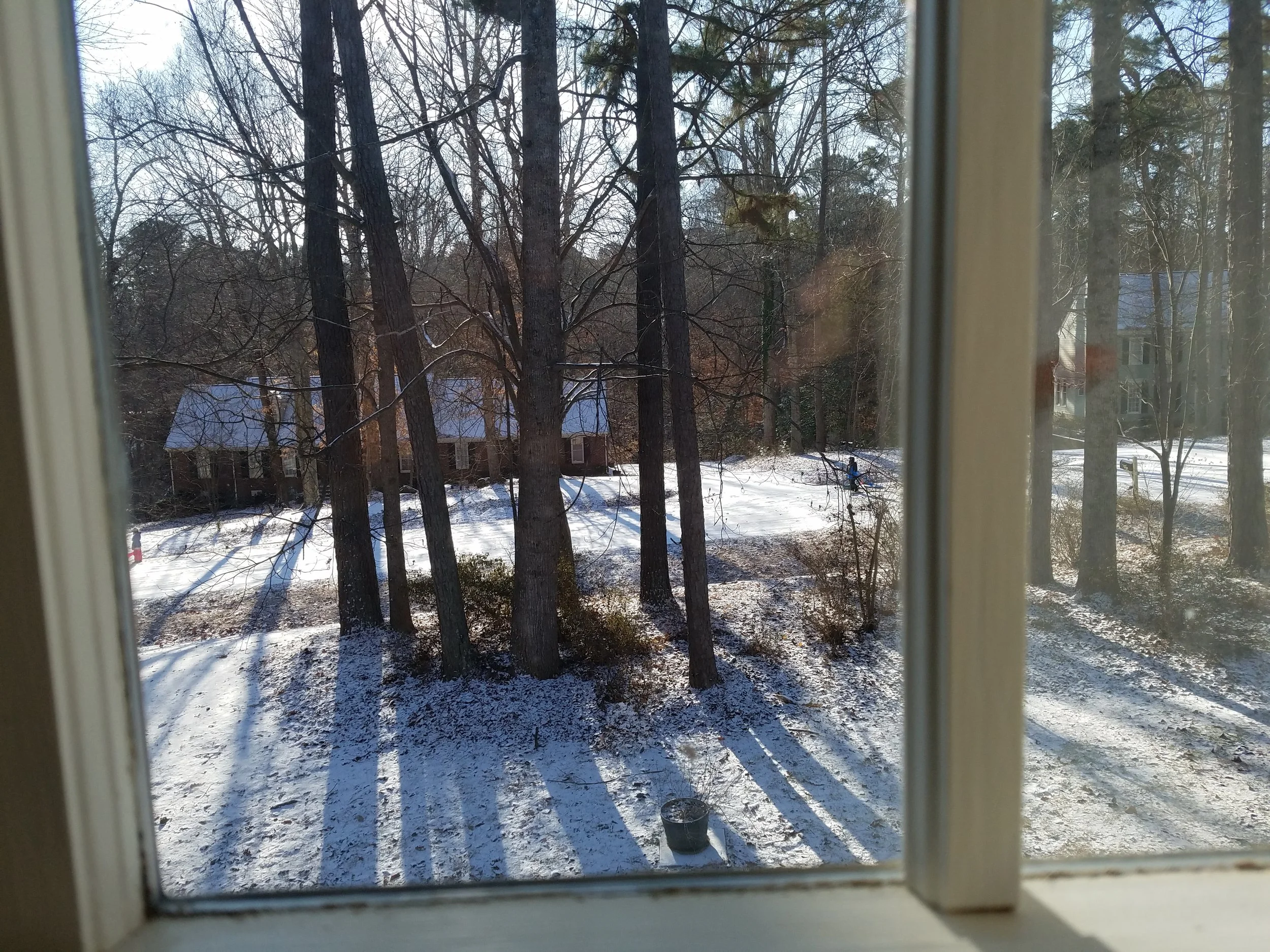 View out of my office window on January 4