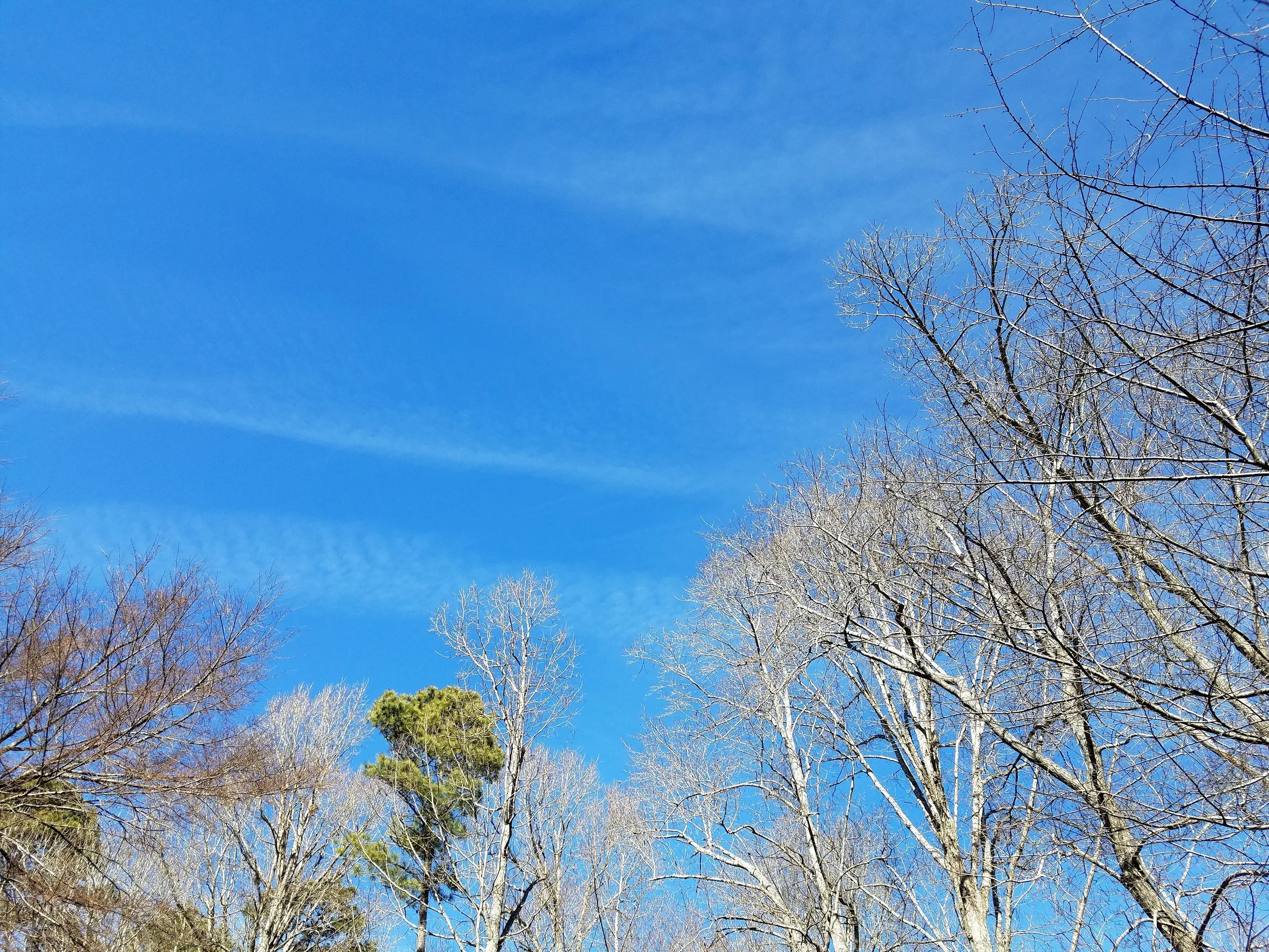 The sky is blue on Feb 3...and it is cold out there!