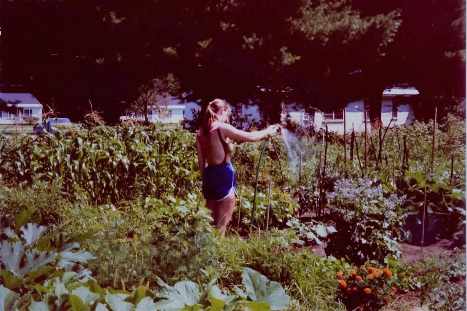 Sue watering our first gardens, back in 1981