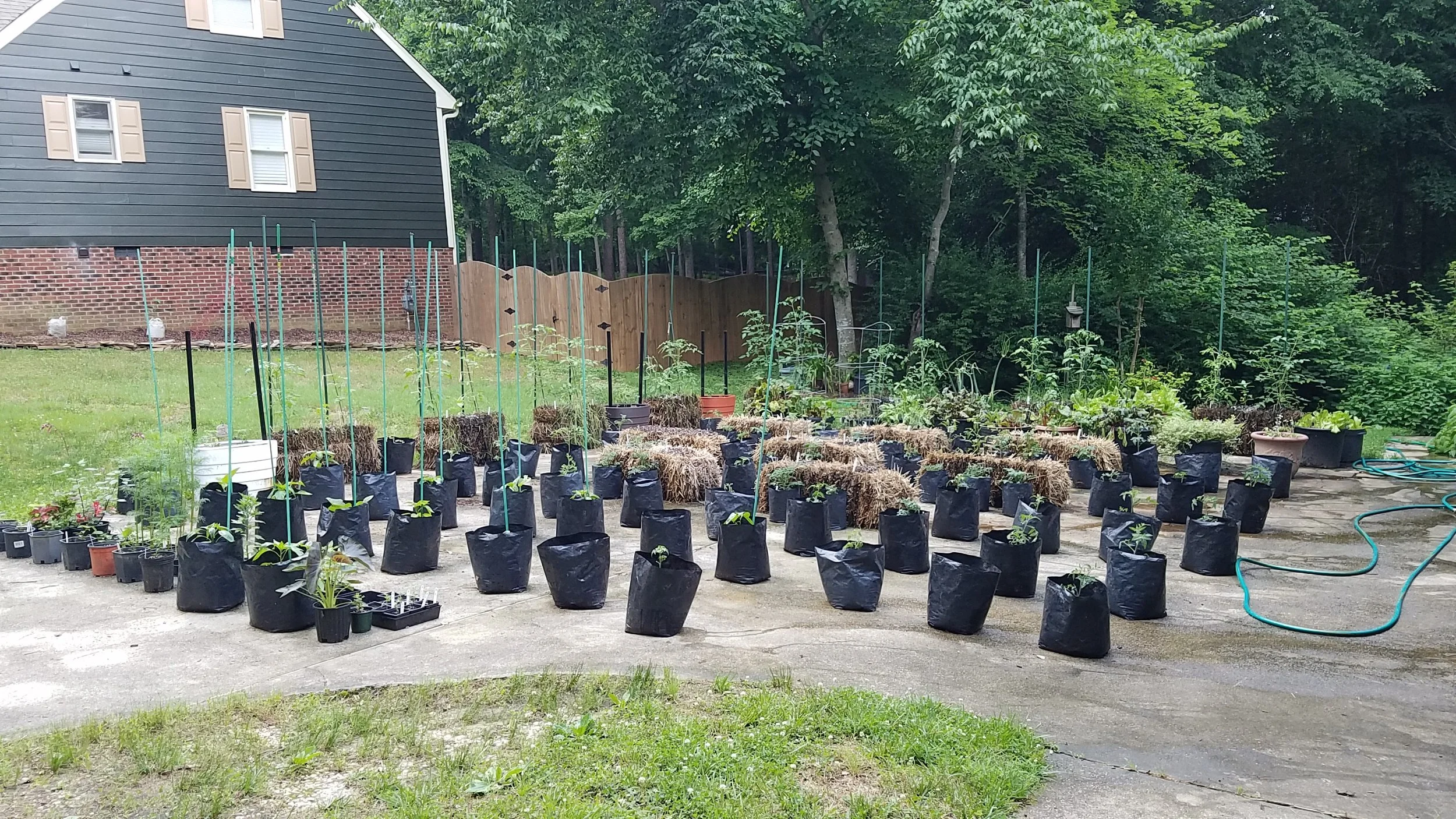 May 31 - and finally everything is planted!