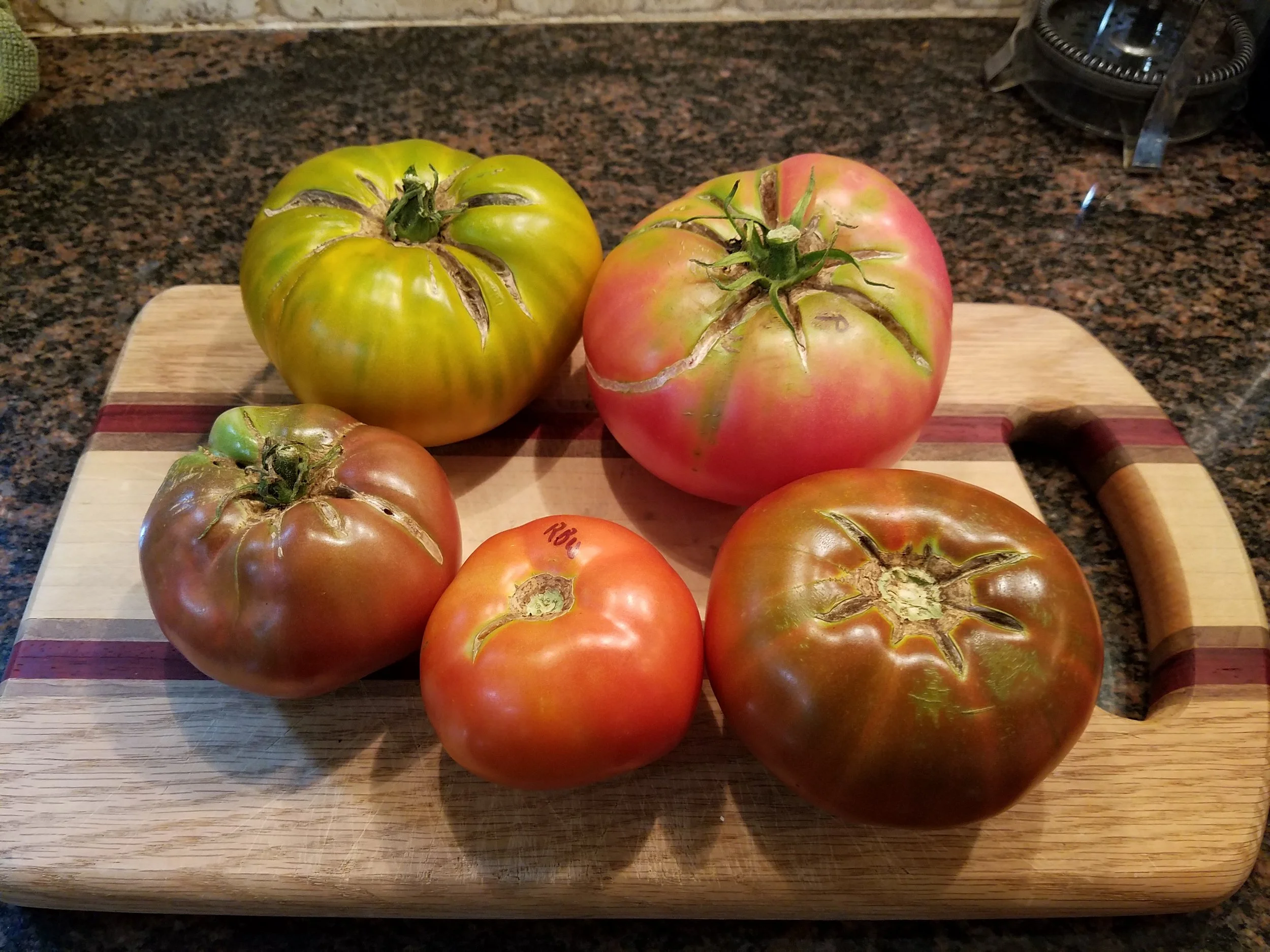 Cherokee Green, Polish, Cherokee Chocolate, Red Brandywine and Cherokee Purple - clockwise from upper left - green, pink, brown, red and purple tomatoes!