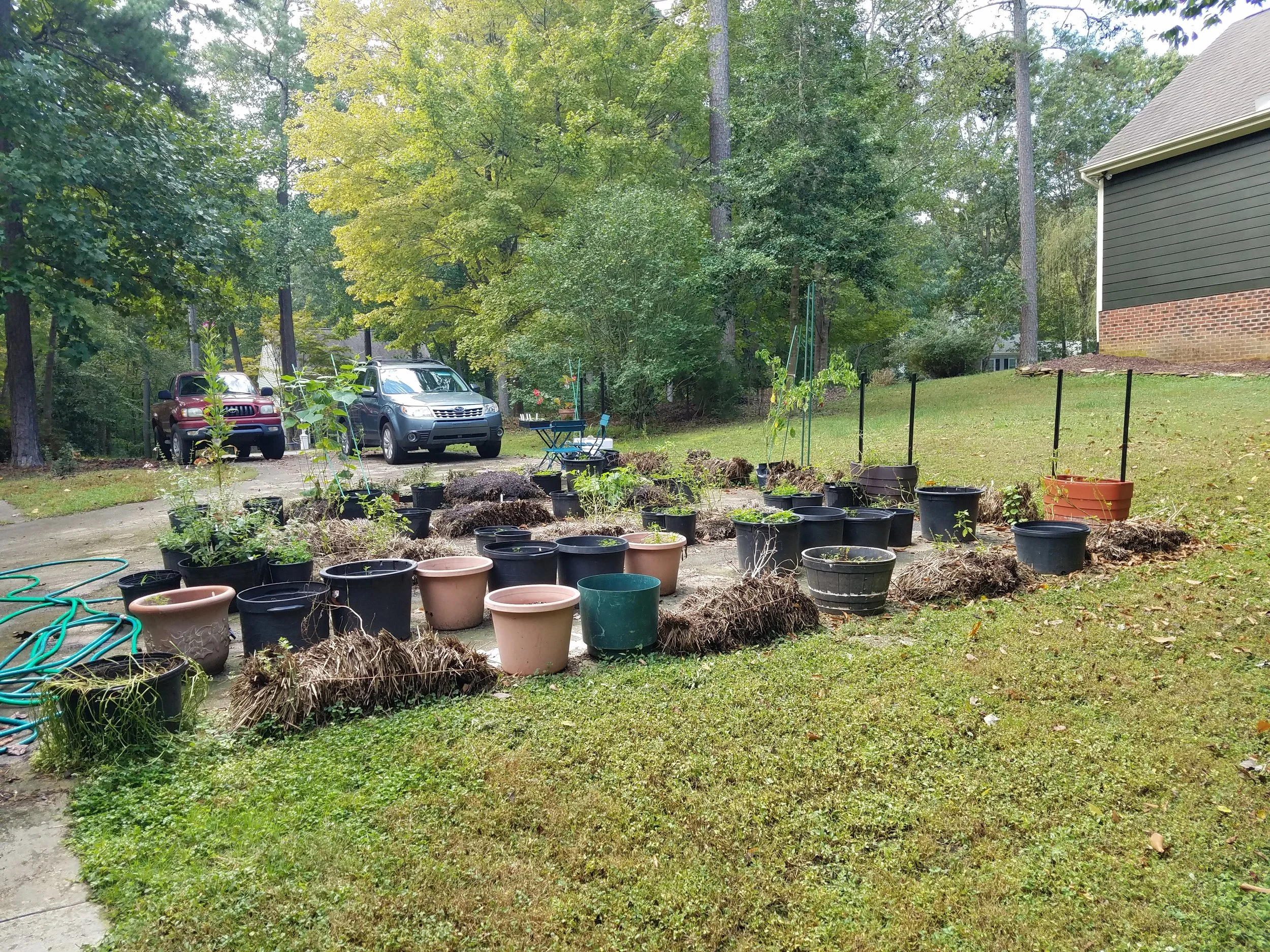 Quite a difference! Early October 2018 driveway garden
