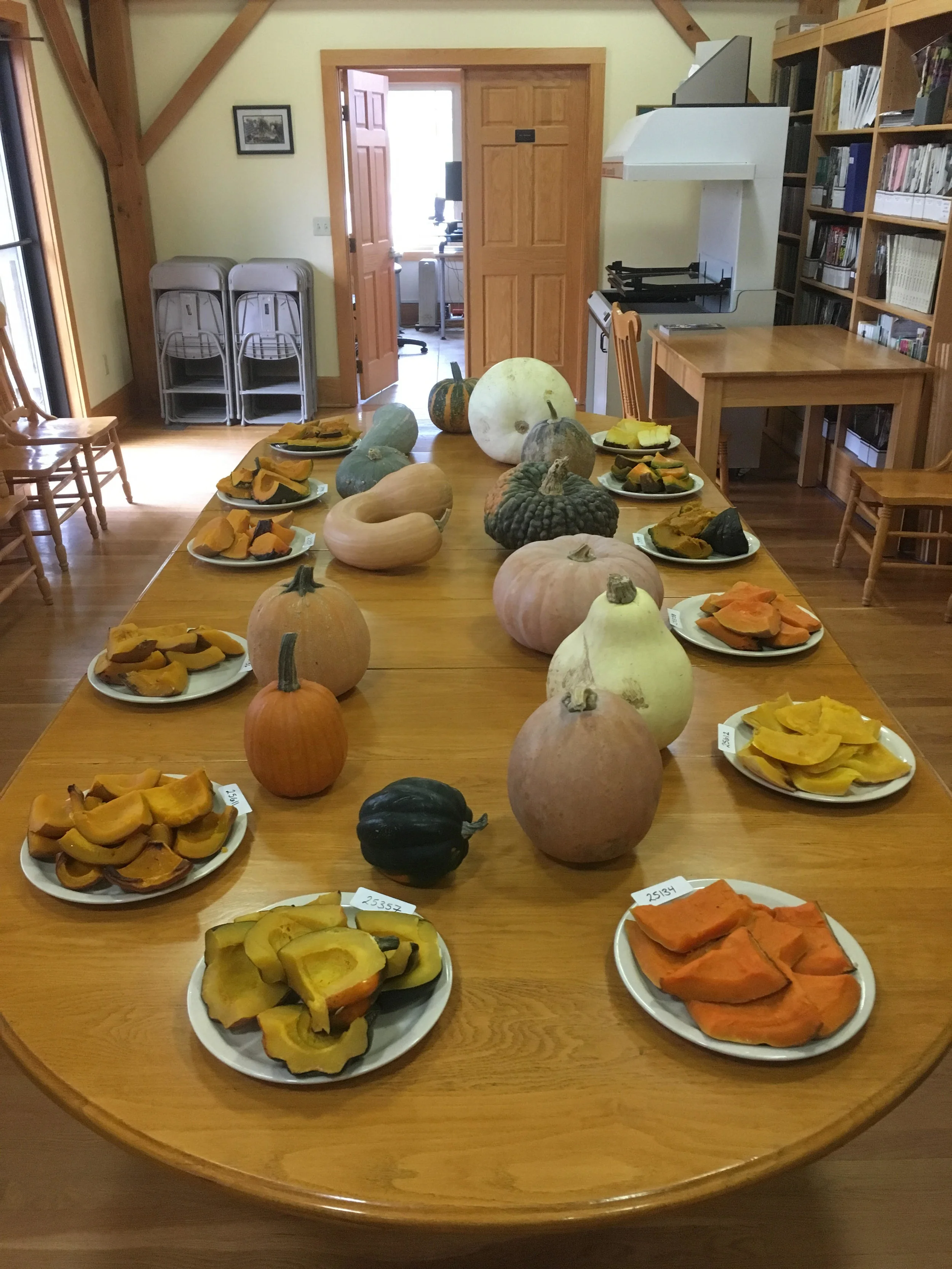 This year SSE Staff were able to sample 14 different kinds of squash from our seed vault. These, and many others, will be available in the 2019 Exchange and Yearbook.