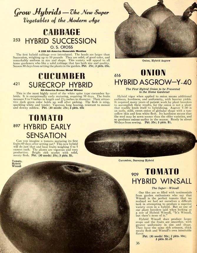 Page from a 1952 Henderson catalog featuring two new hybrid varieties.