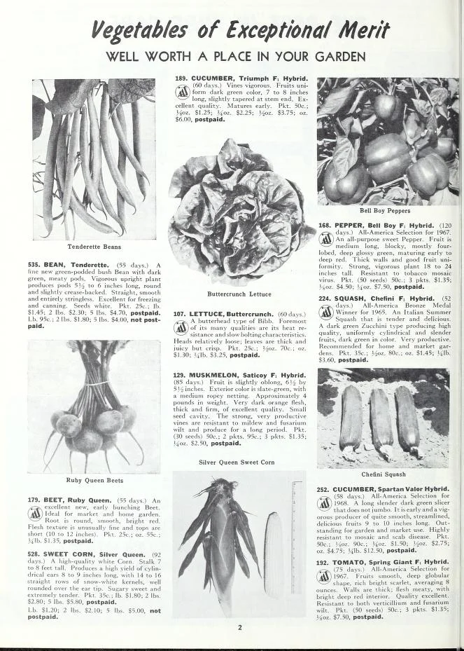 page from a 1970 Bolgiano seed catalog - note the featured hybrid tomato variety at lower right.