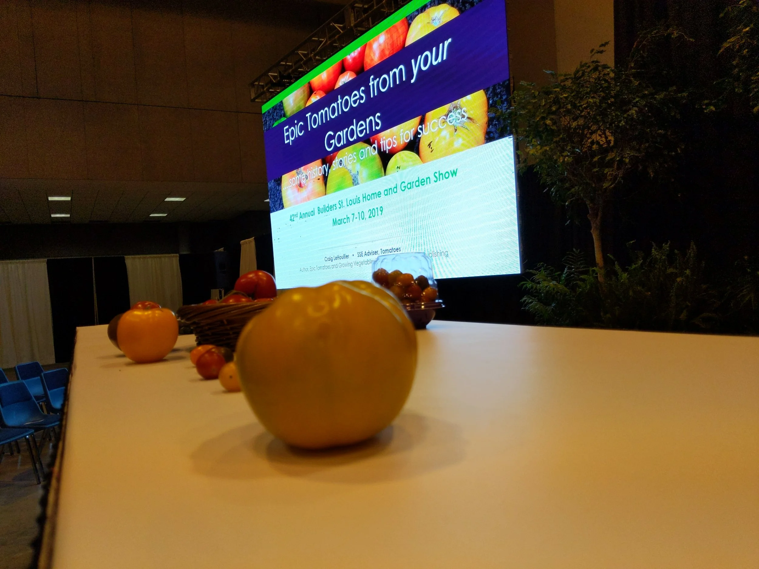 Ready to talk tomatoes, with props, in St Louis