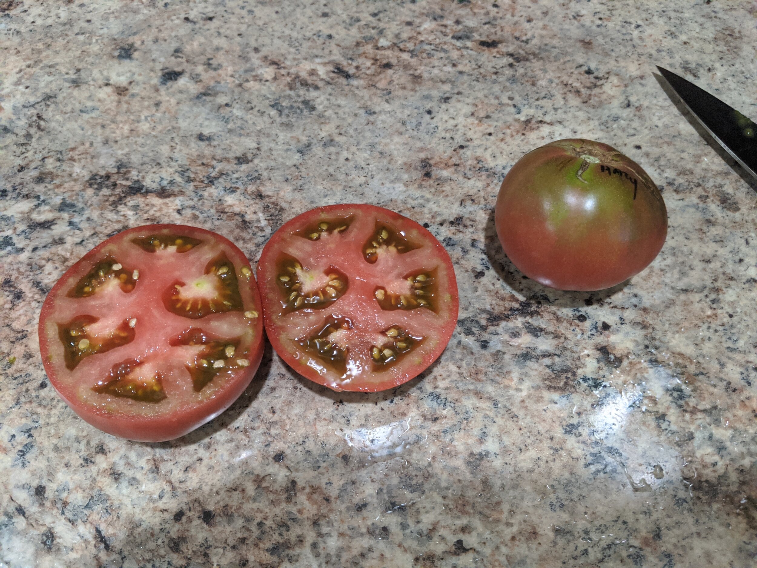 Desert Star Dwarf Tomato