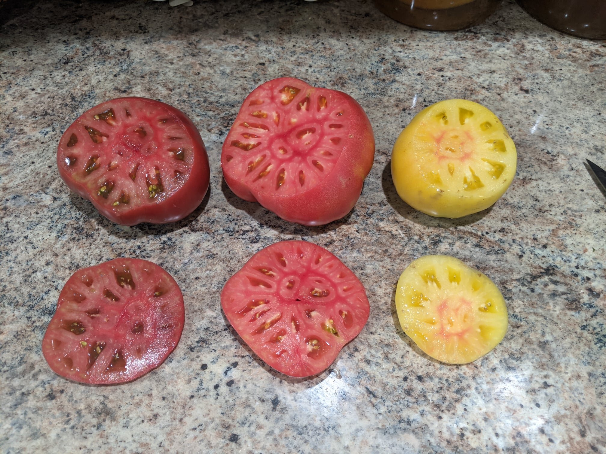 Discover Anna Kozula's Unique Tomato Varieties: Still Appreciated by Amateur Breeders Today