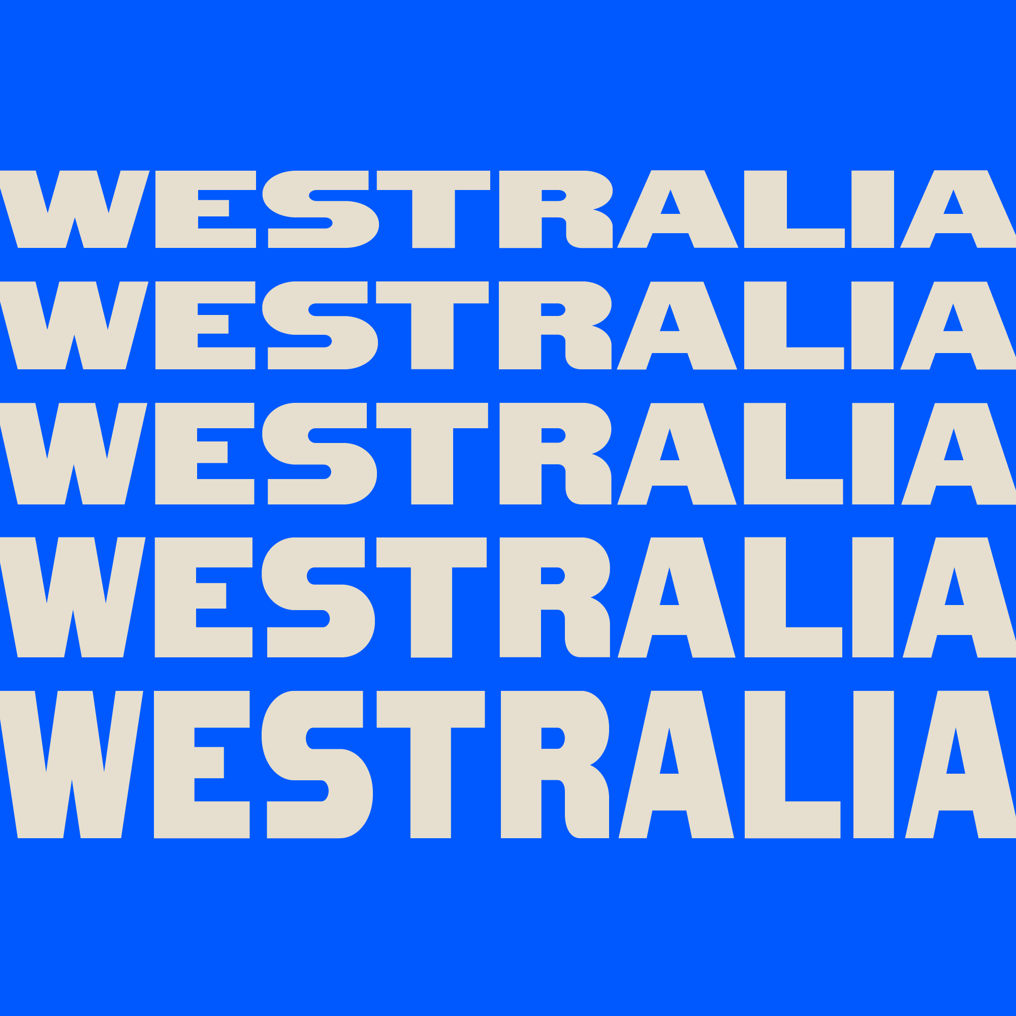 Artboard 1 copy 20.png