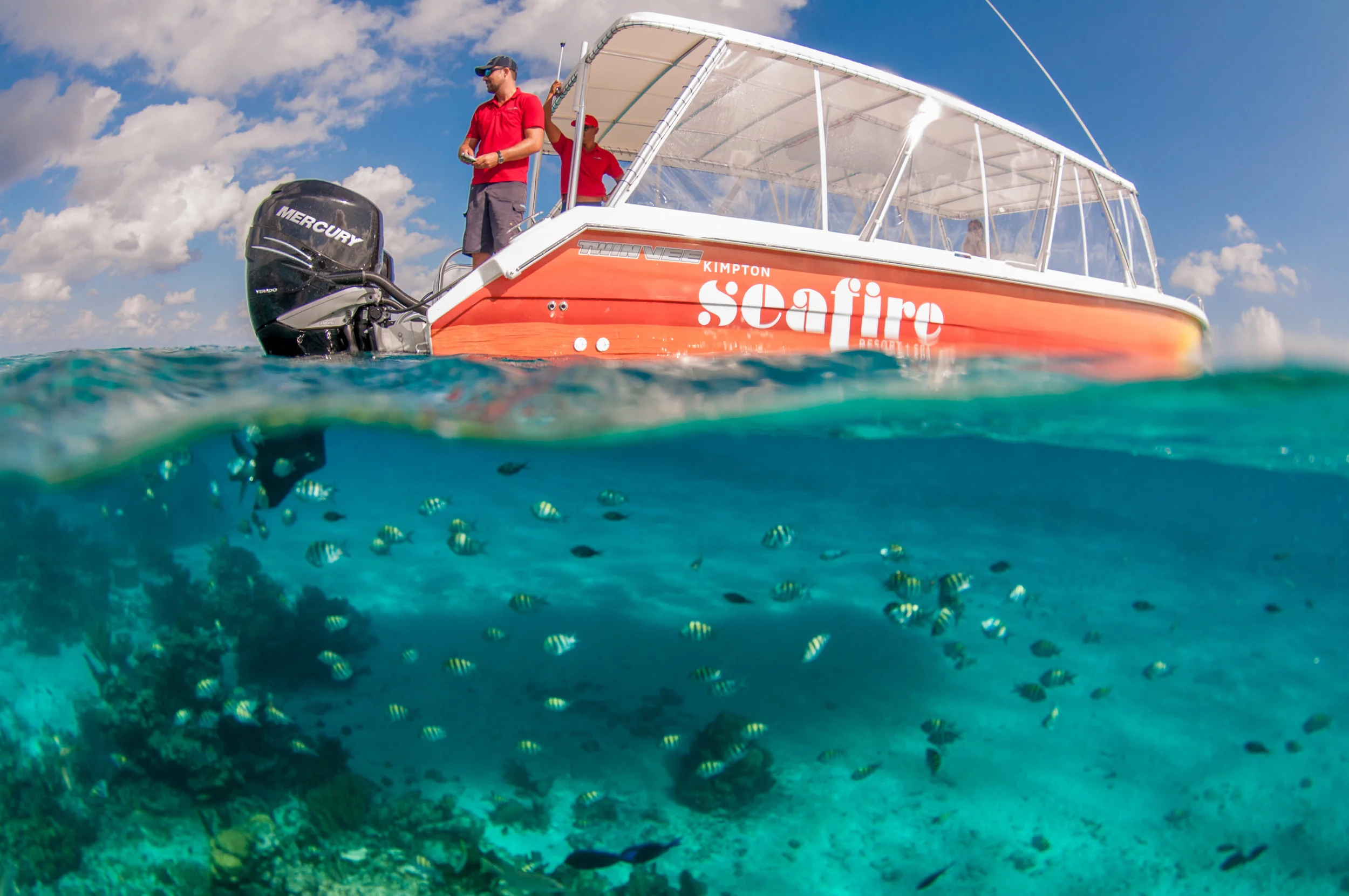Image by Amanda Nicholls for Caribbean Producer Services