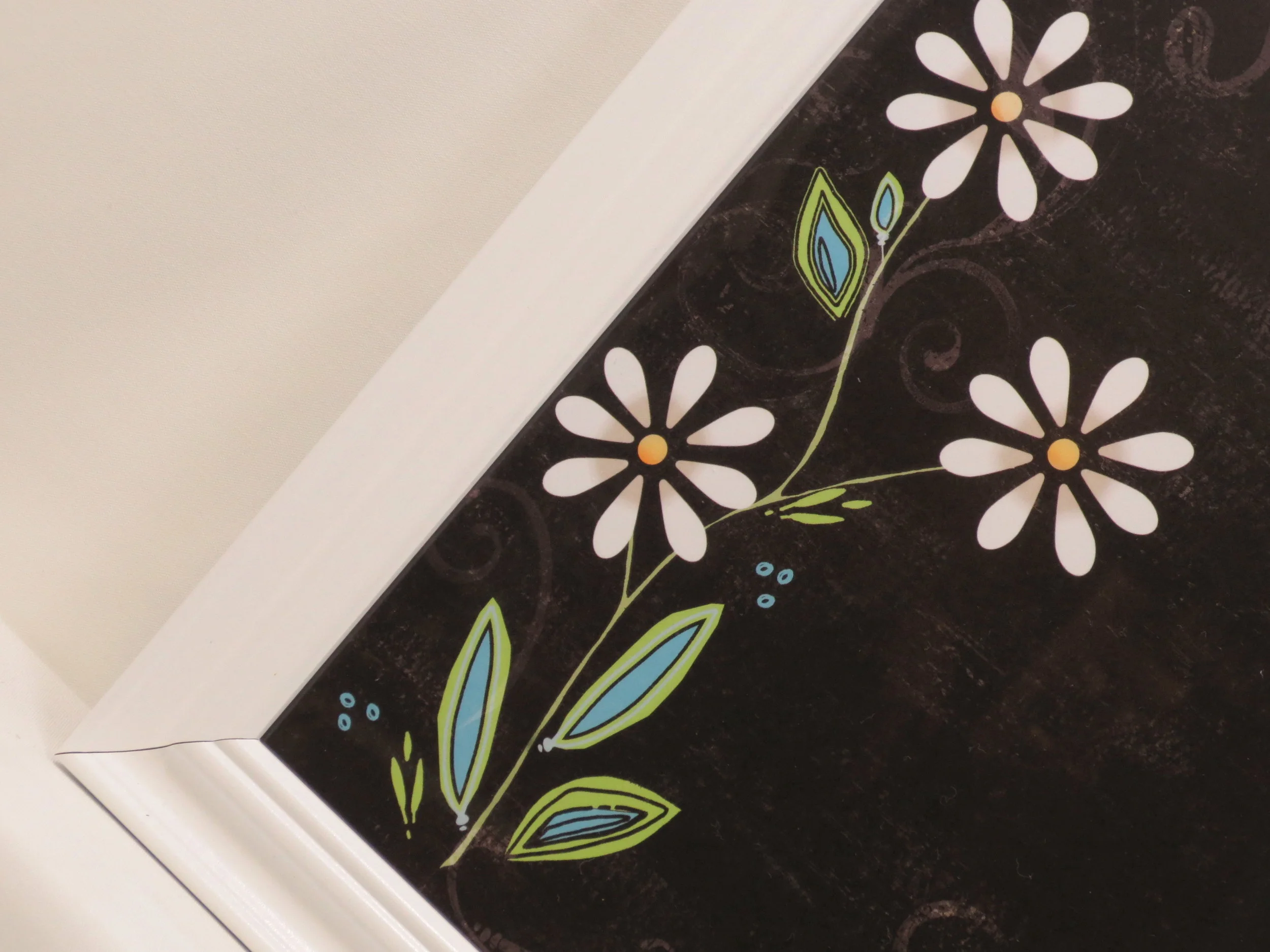 white lazy daisy4.JPG