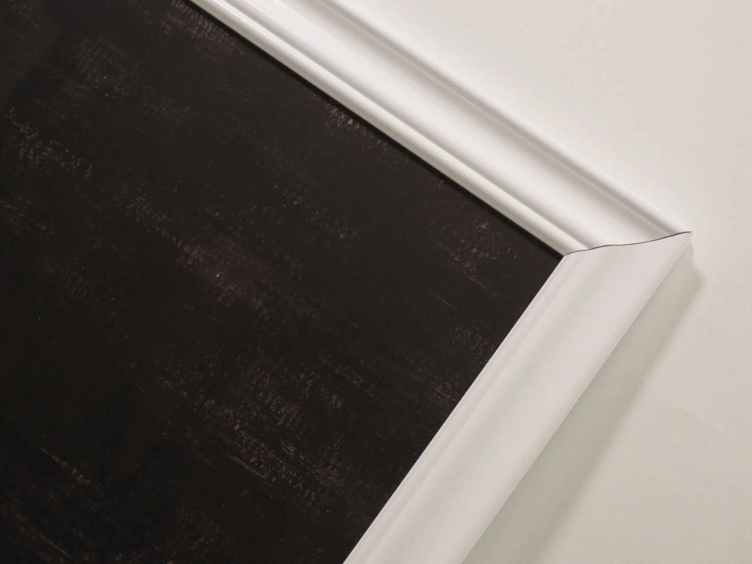 white lazy daisy5.JPG