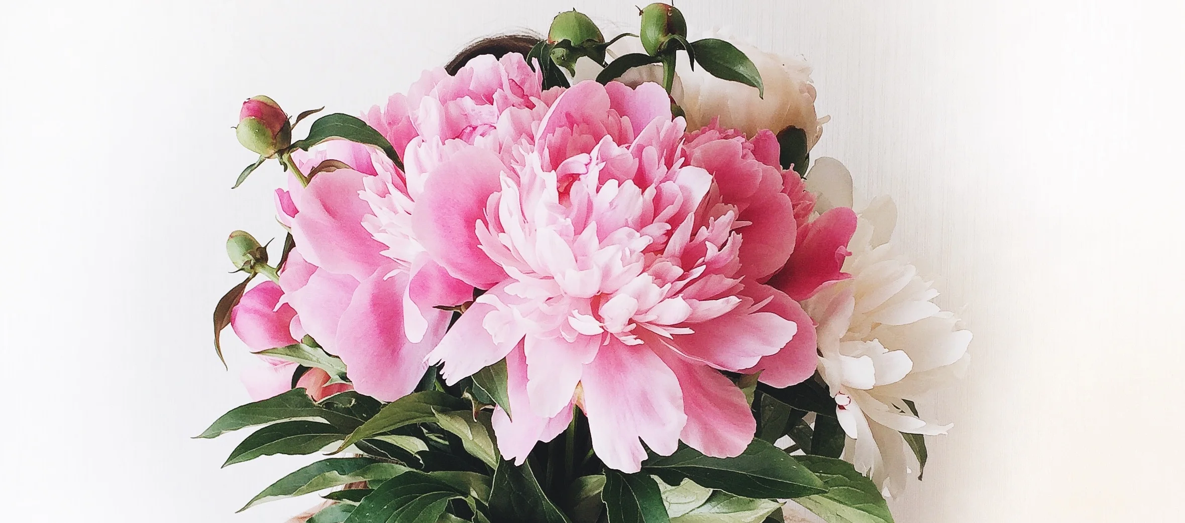 facebook cover LM.jpg