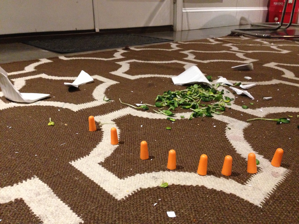 Domestic Emergency, Just Before Bedtime. Site specific installation, ceramic, sunflower shoots, foam ear plugs. 2015