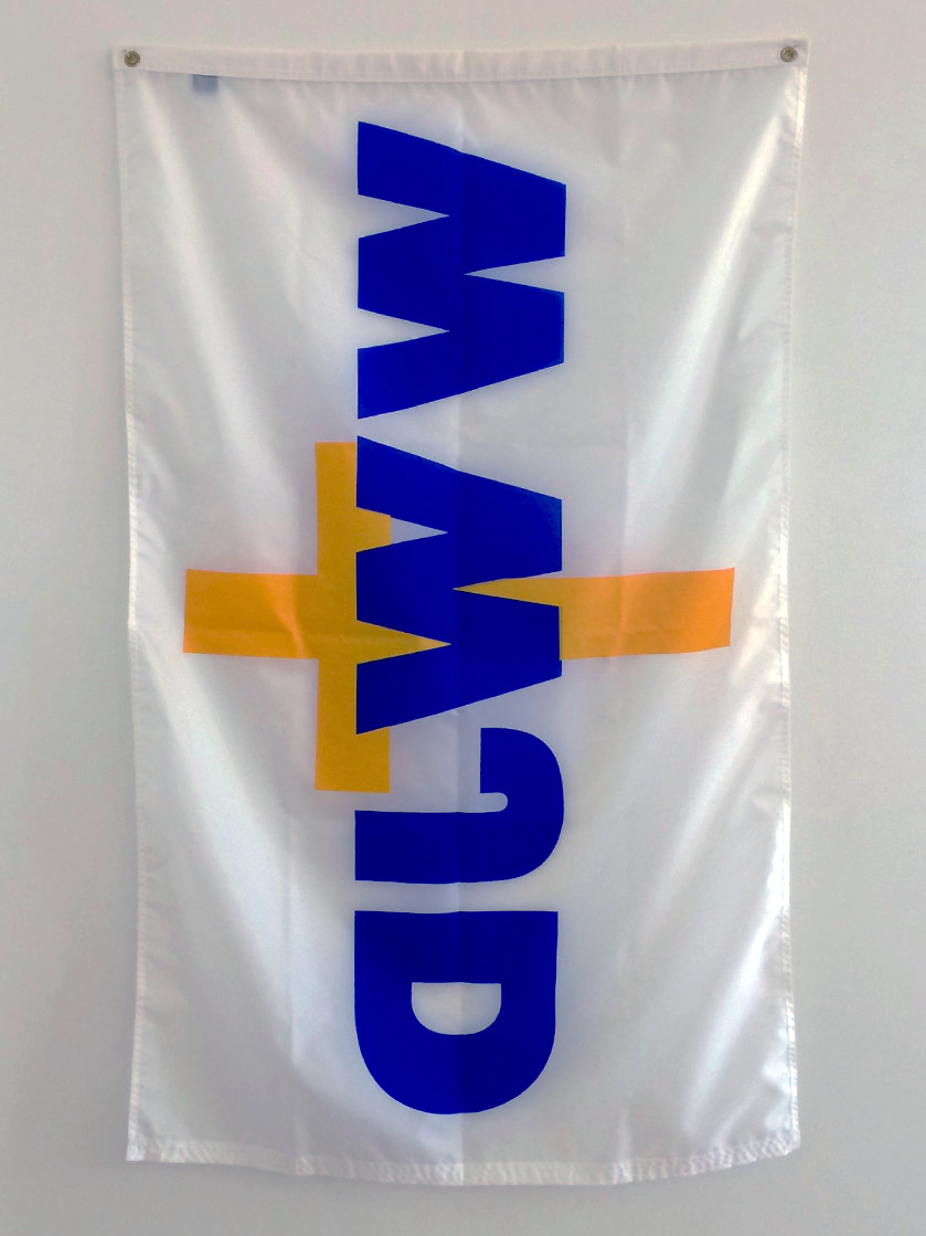  Flag, wall hooks  5' X 3'  2015 