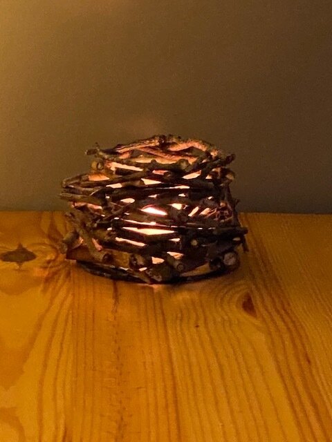 IMG.Twigs Campfire.11.20......jpg