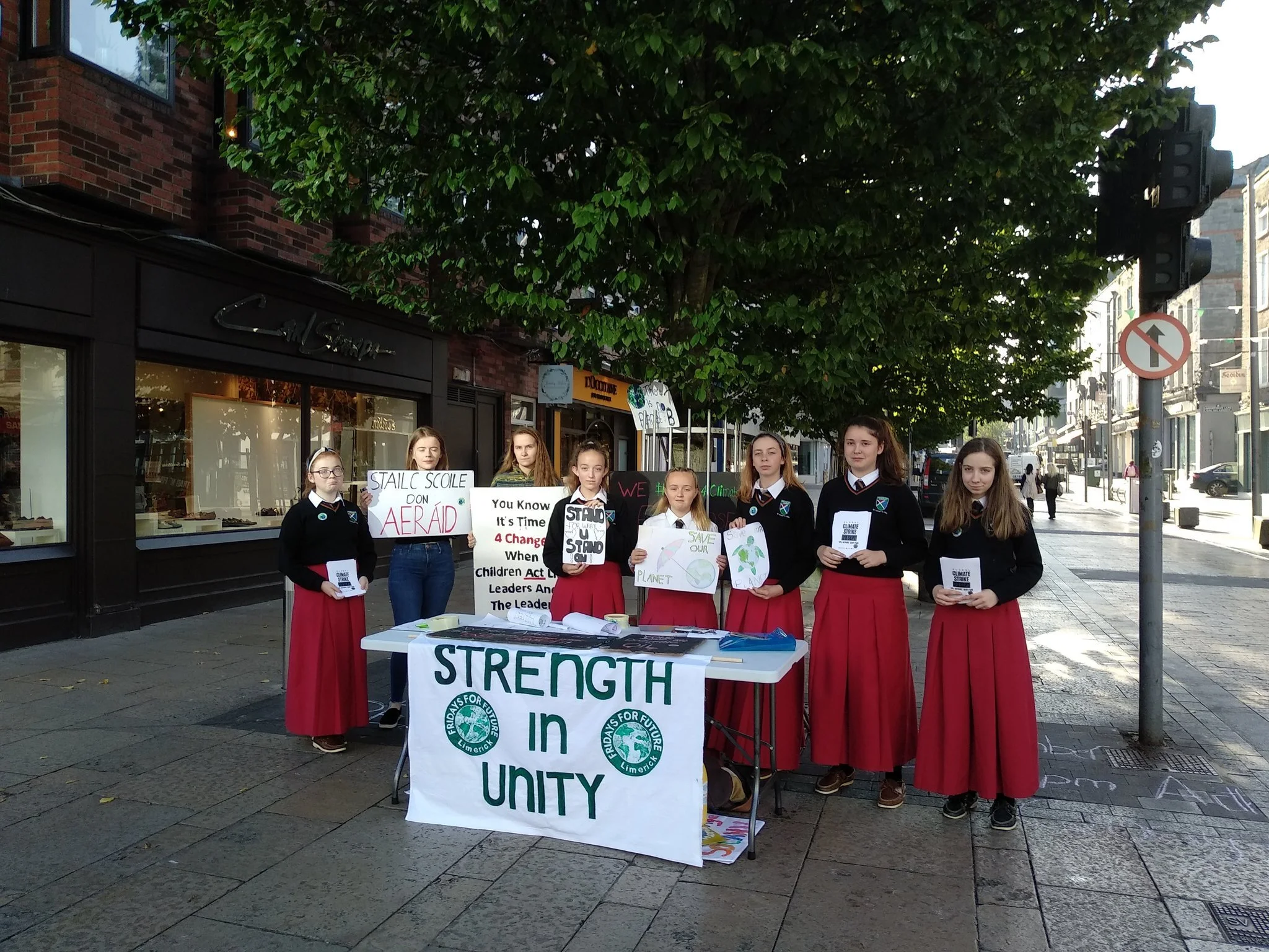 FFF Limerick on 20 Sept. 2019