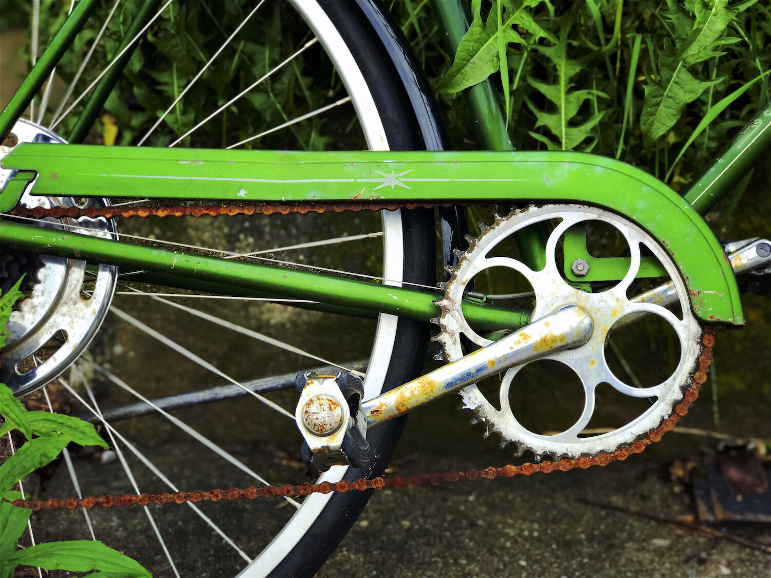 green bike & weeds