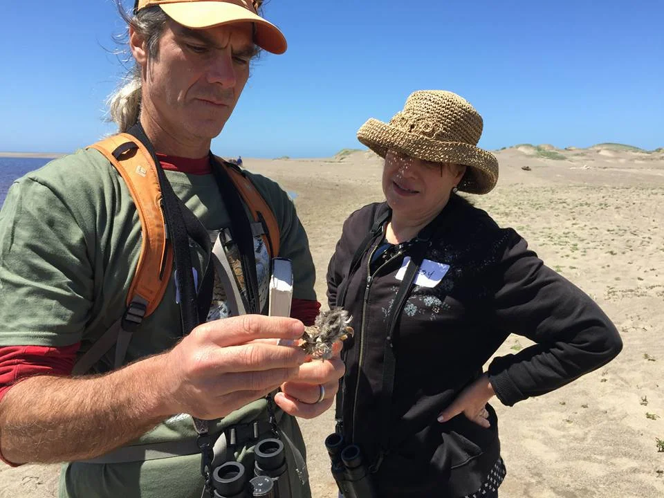 Bird Fest_SharonBarnett.jpg