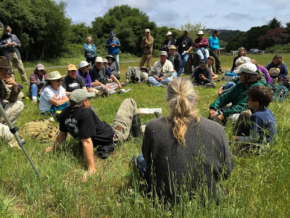 Pacific Plate - Hansen, Pyle 8(DWimpfheimer-2015 PRBNF).jpg