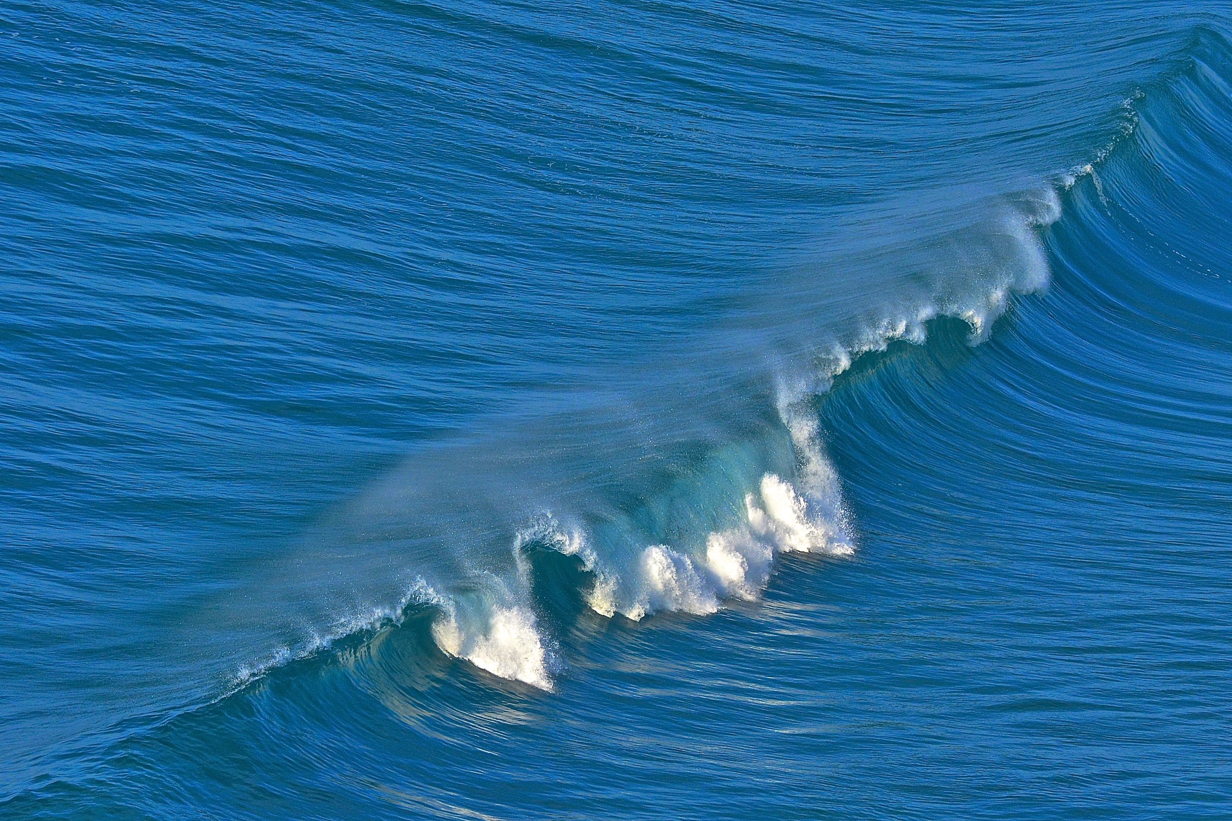 DSC_0172.jpg
