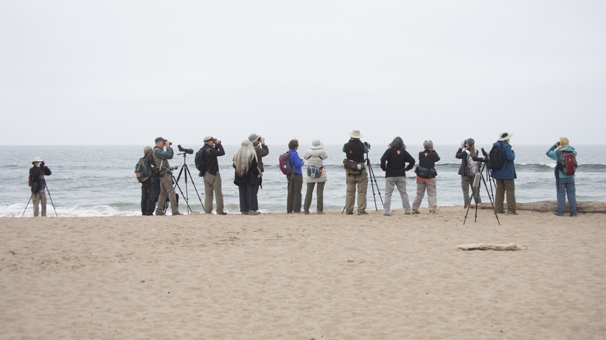 005-2019-Point-Reyes-Birding-Festival-Web-Sized.jpg