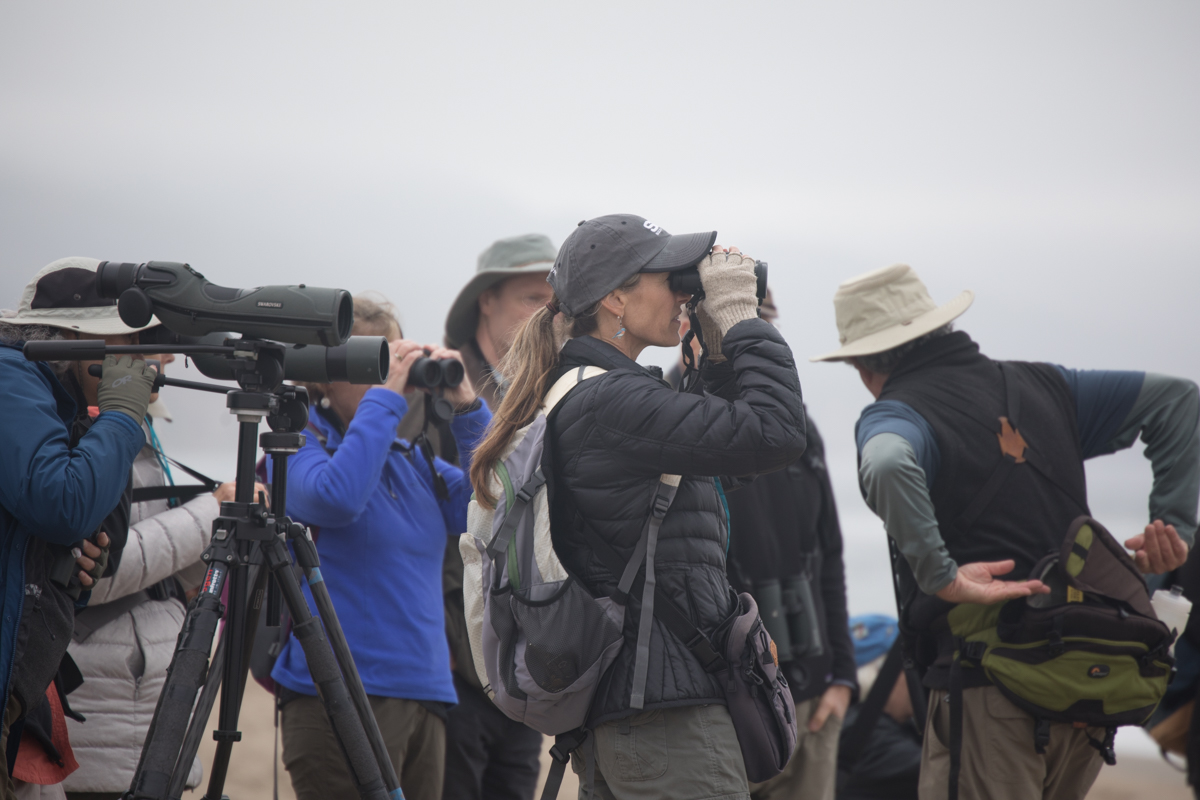 008-2019-Point-Reyes-Birding-Festival-Web-Sized.jpg