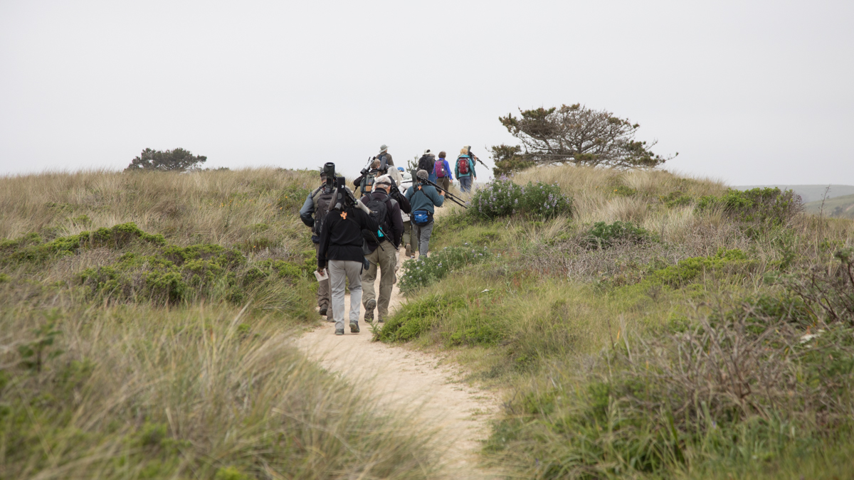 012-2019-Point-Reyes-Birding-Festival-Web-Sized.jpg