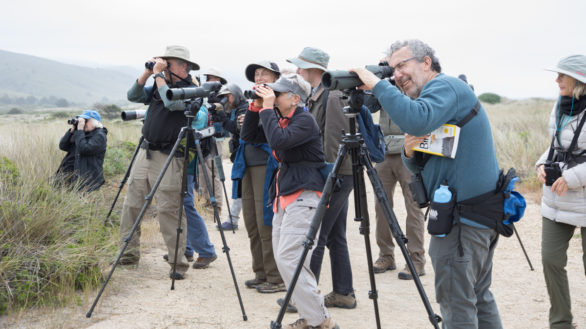 014-2019-Point-Reyes-Birding-Festival-Web-Sized.jpg