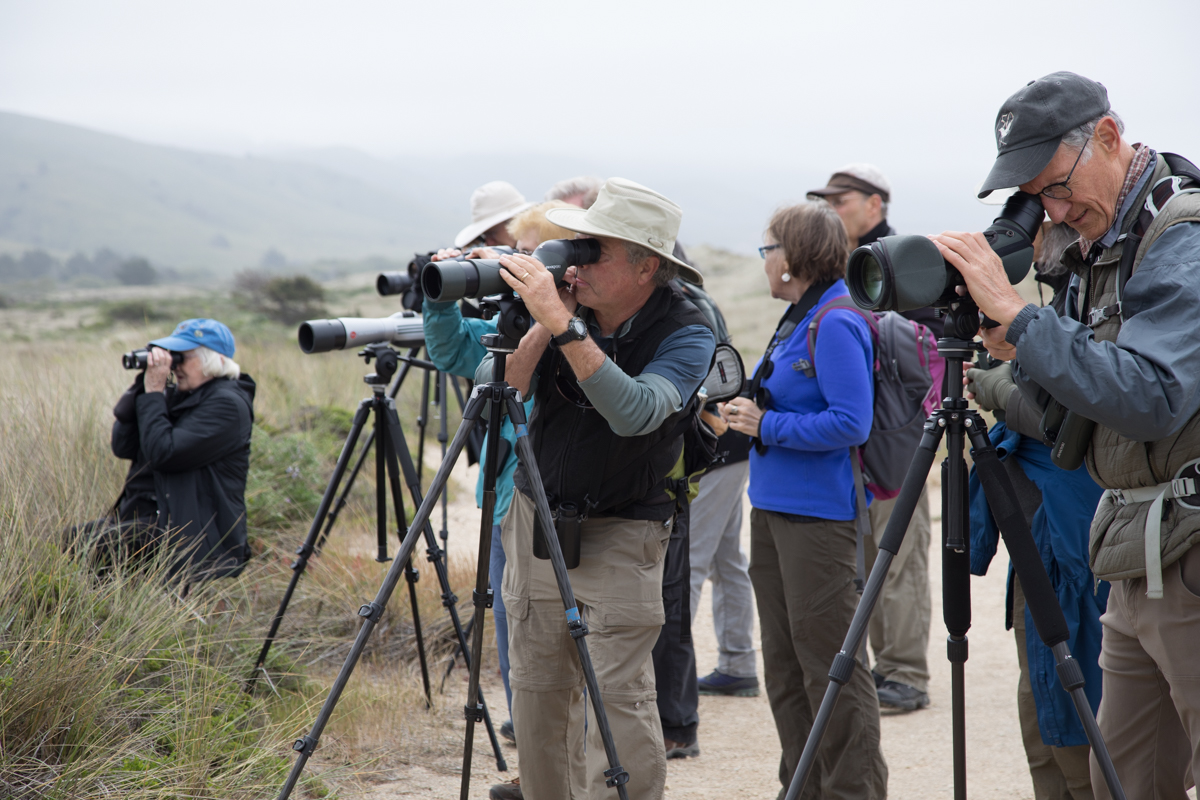 015-2019-Point-Reyes-Birding-Festival-Web-Sized.jpg