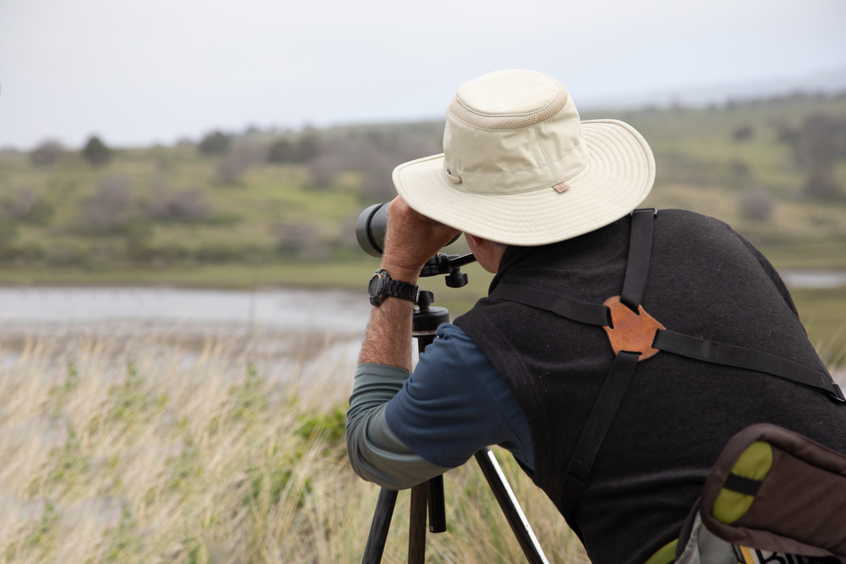 016-2019-Point-Reyes-Birding-Festival-Web-Sized.jpg