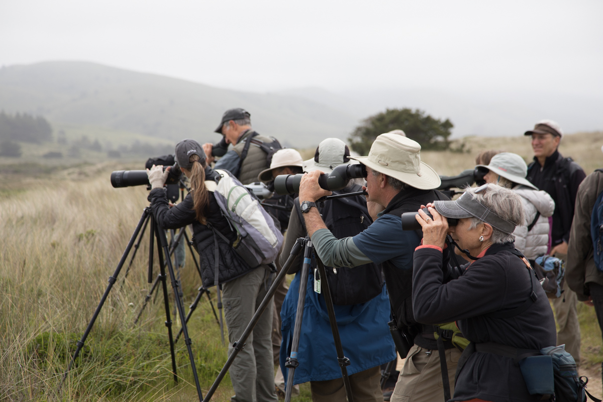 017-2019-Point-Reyes-Birding-Festival-Web-Sized.jpg