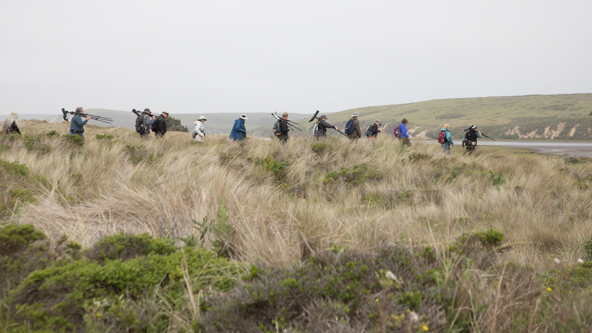 020-2019-Point-Reyes-Birding-Festival-Web-Sized.jpg