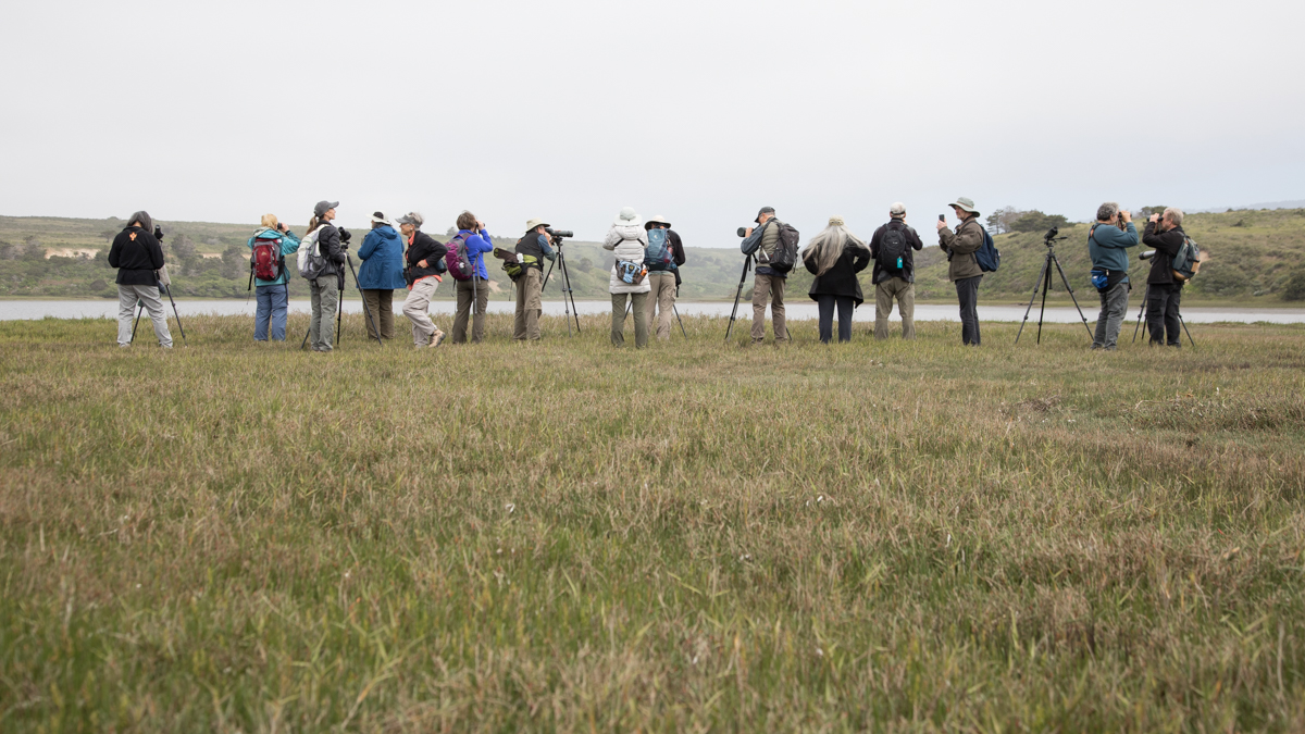 021-2019-Point-Reyes-Birding-Festival-Web-Sized.jpg