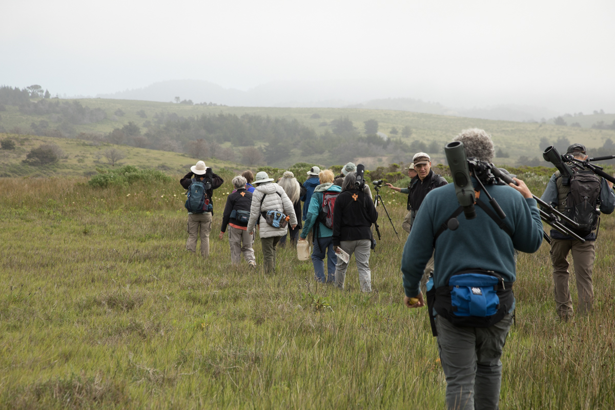 040-2019-Point-Reyes-Birding-Festival-Web-Sized.jpg