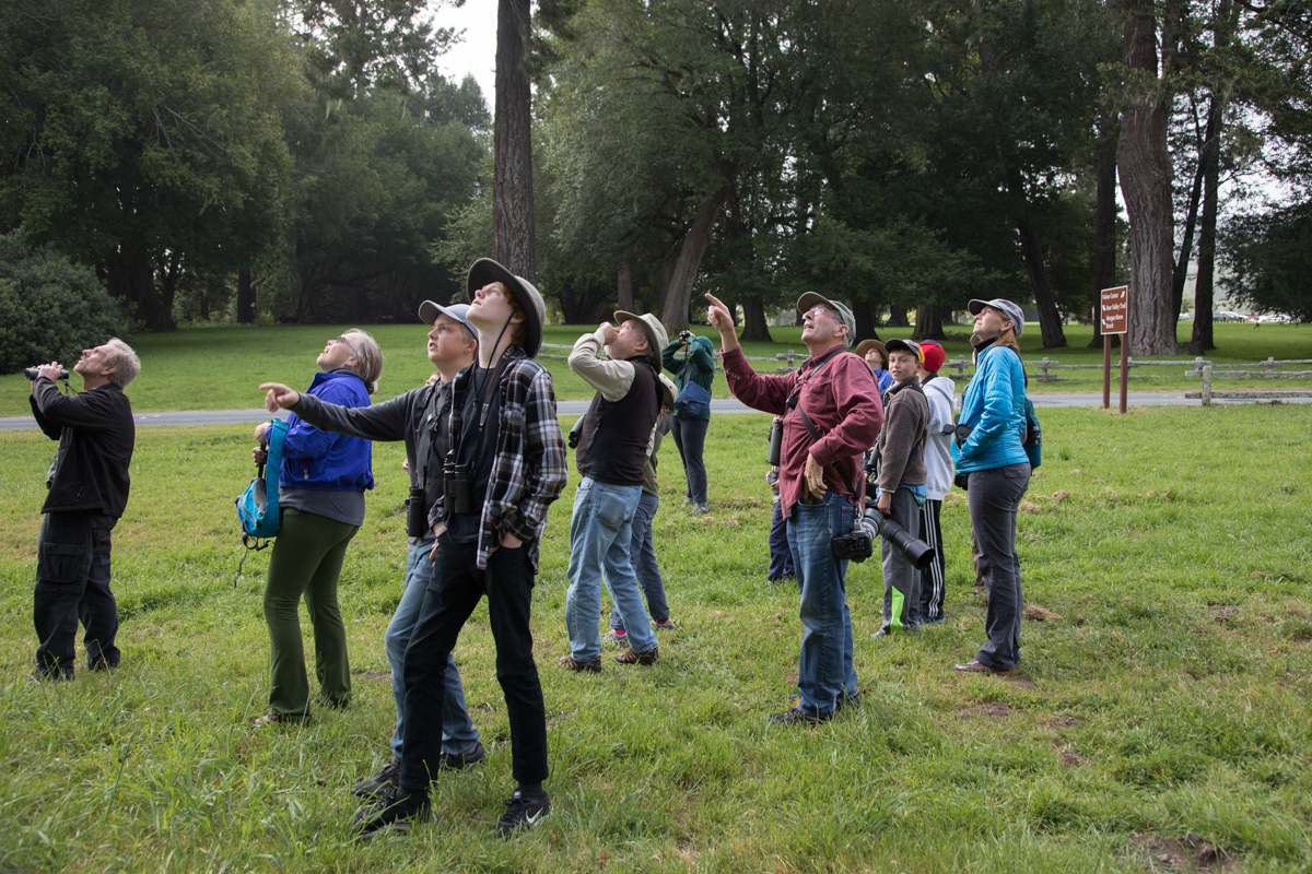 145-2019-Point-Reyes-Birding-Festival-Web-Sized.jpg