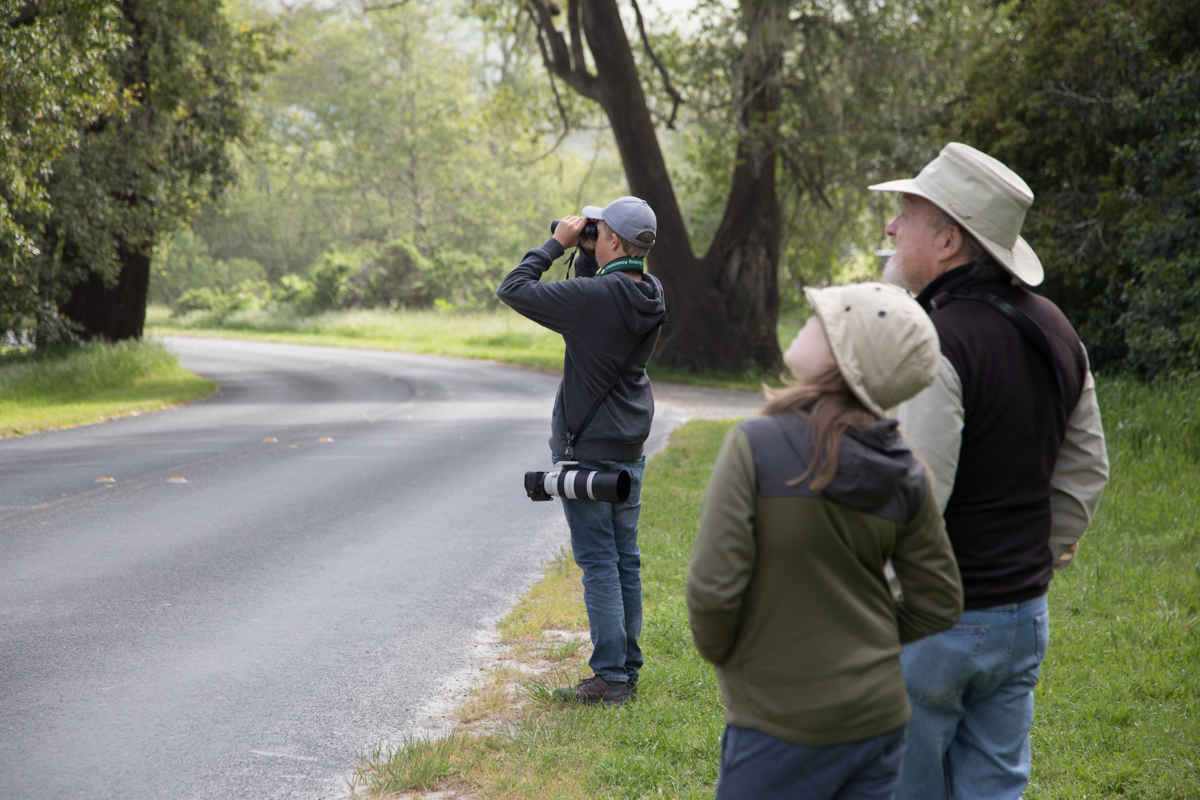 146-2019-Point-Reyes-Birding-Festival-Web-Sized.jpg