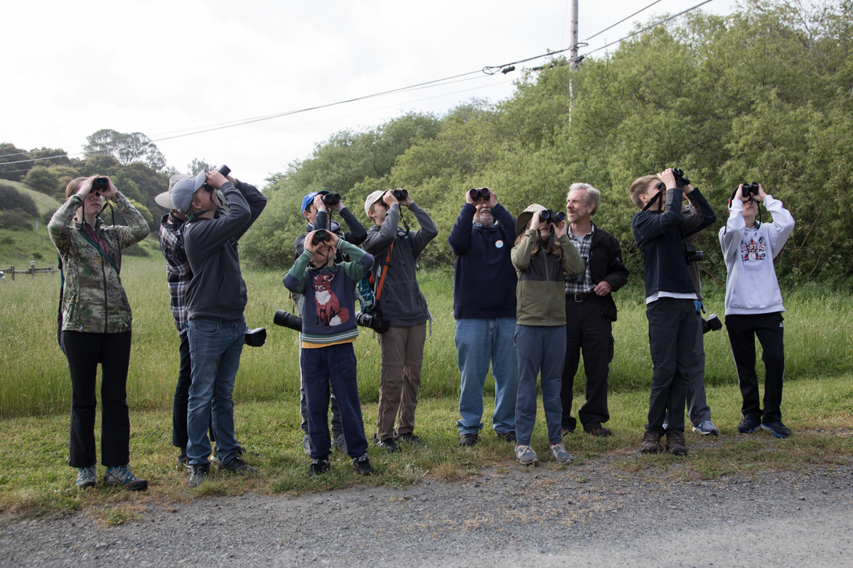 152-2019-Point-Reyes-Birding-Festival-Web-Sized.jpg