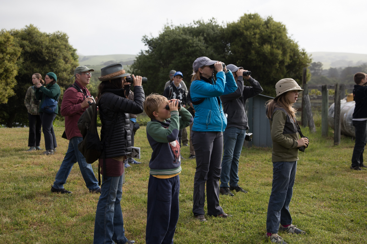 155-2019-Point-Reyes-Birding-Festival-Web-Sized.jpg