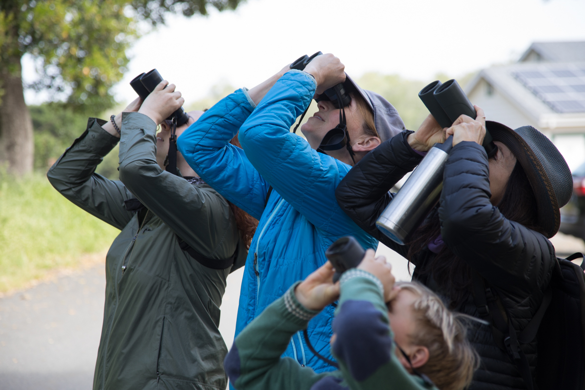 164-2019-Point-Reyes-Birding-Festival-Web-Sized.jpg