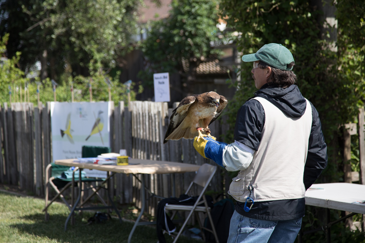 178-2019-Point-Reyes-Birding-Festival-Web-Sized.jpg