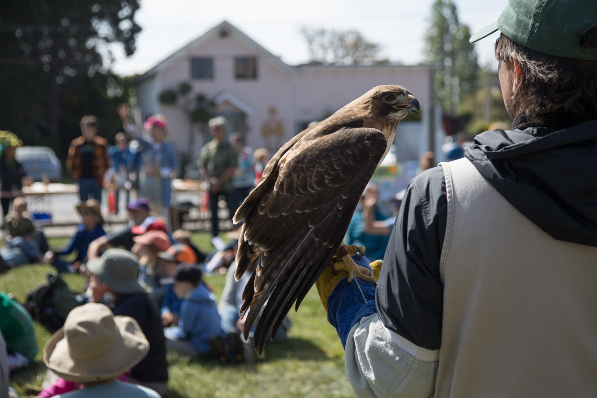 200-2019-Point-Reyes-Birding-Festival-Web-Sized.jpg