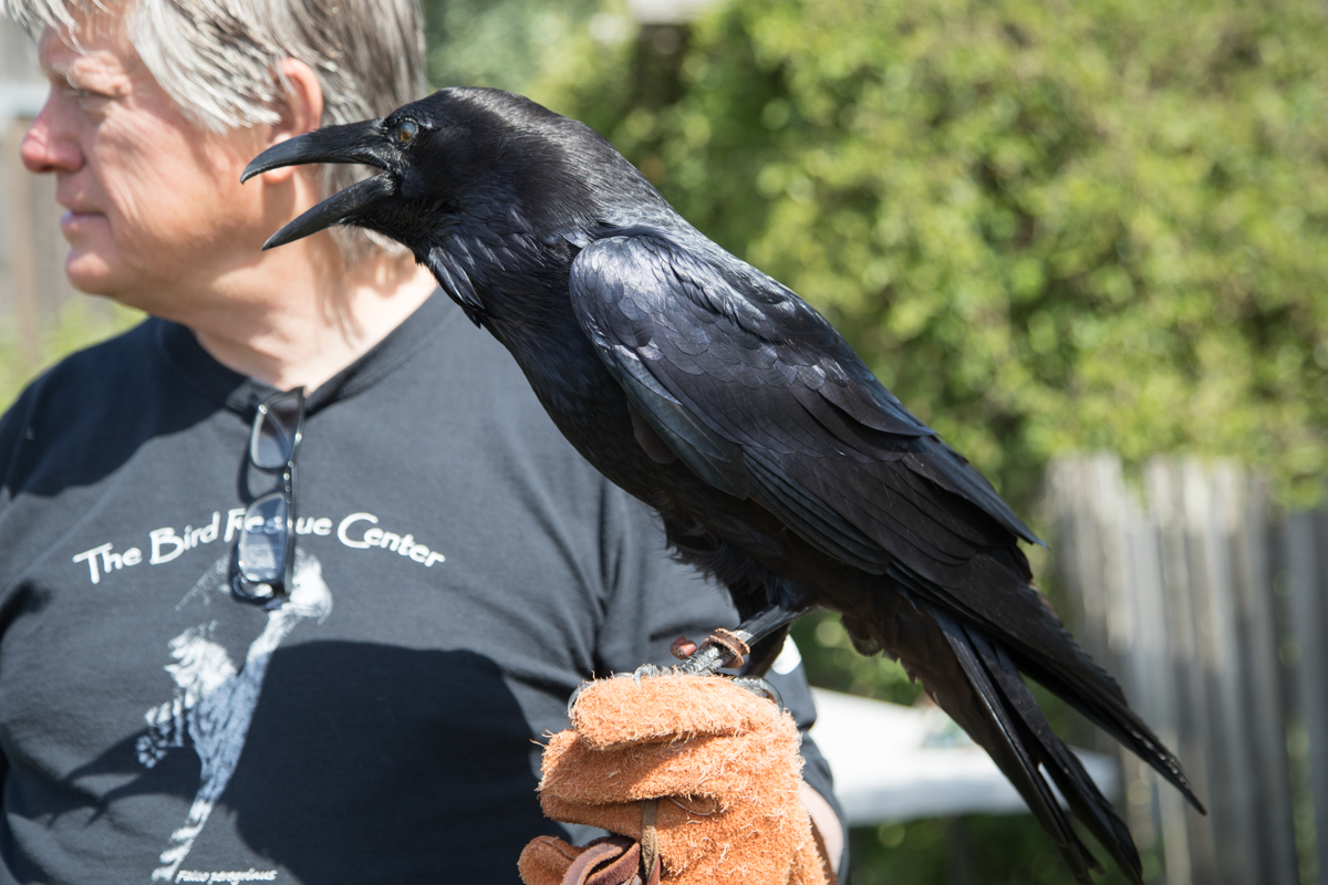 230-2019-Point-Reyes-Birding-Festival-Web-Sized.jpg