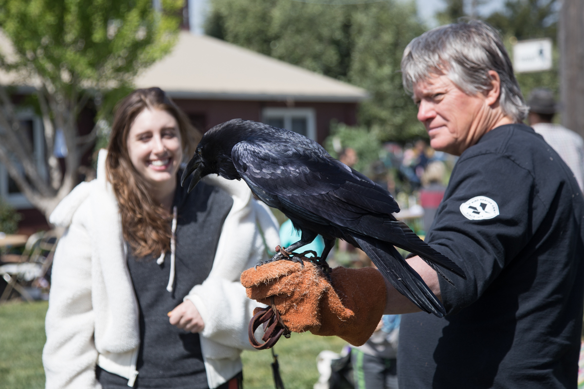 232-2019-Point-Reyes-Birding-Festival-Web-Sized.jpg