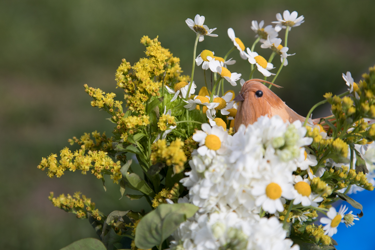 246-2019-Point-Reyes-Birding-Festival-Web-Sized.jpg