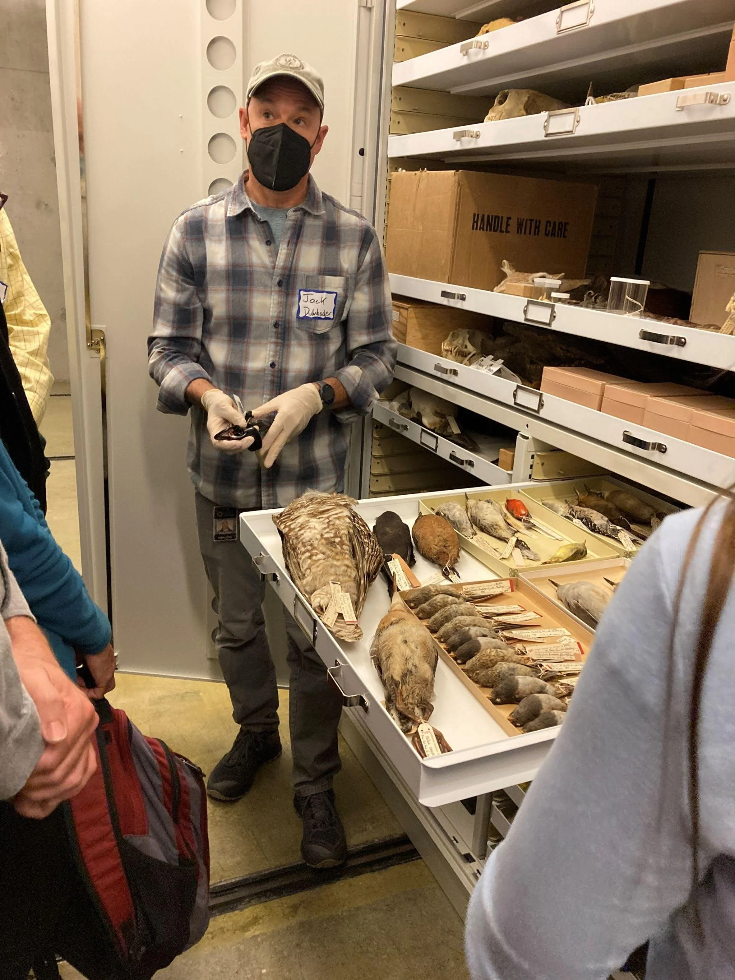 39 a type case Ann Elliott.jpg