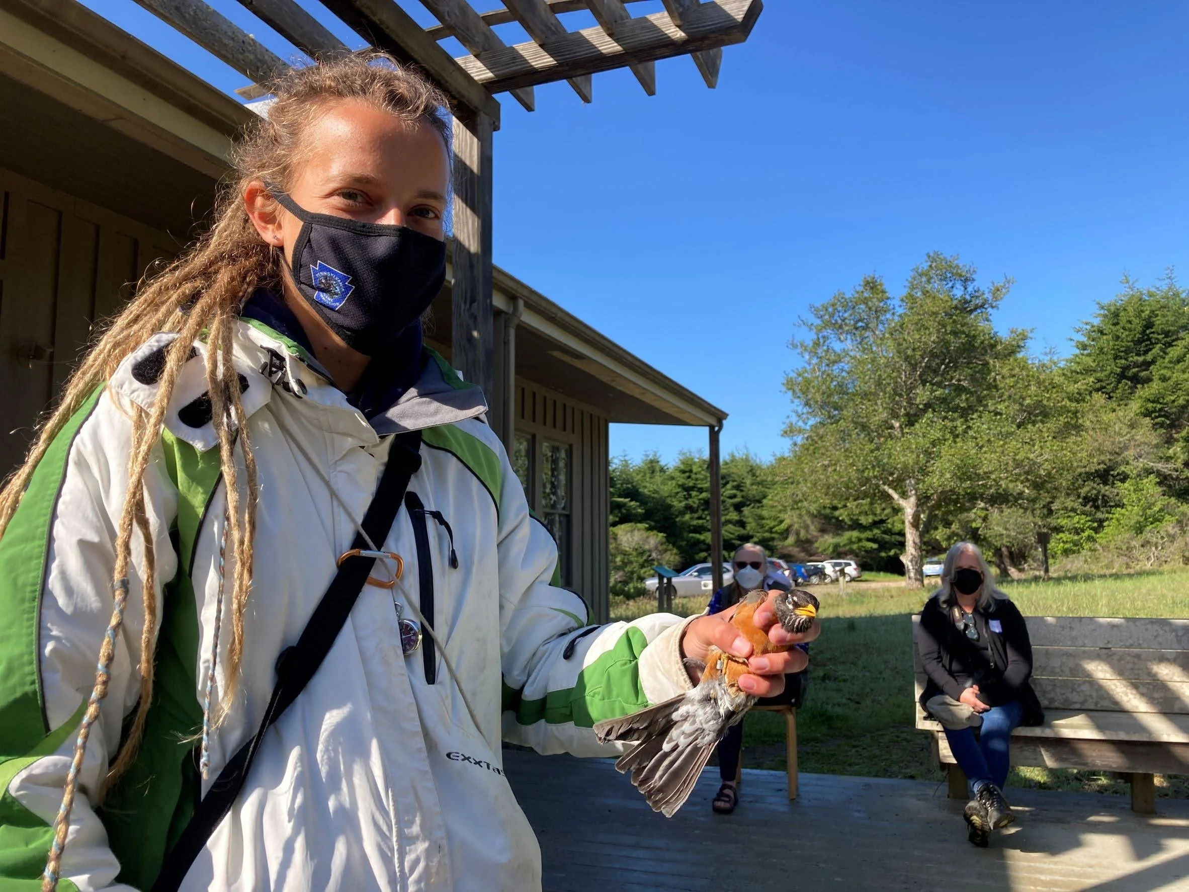 19 American Robin 5 app. Larissa Ann Elliott.jpg