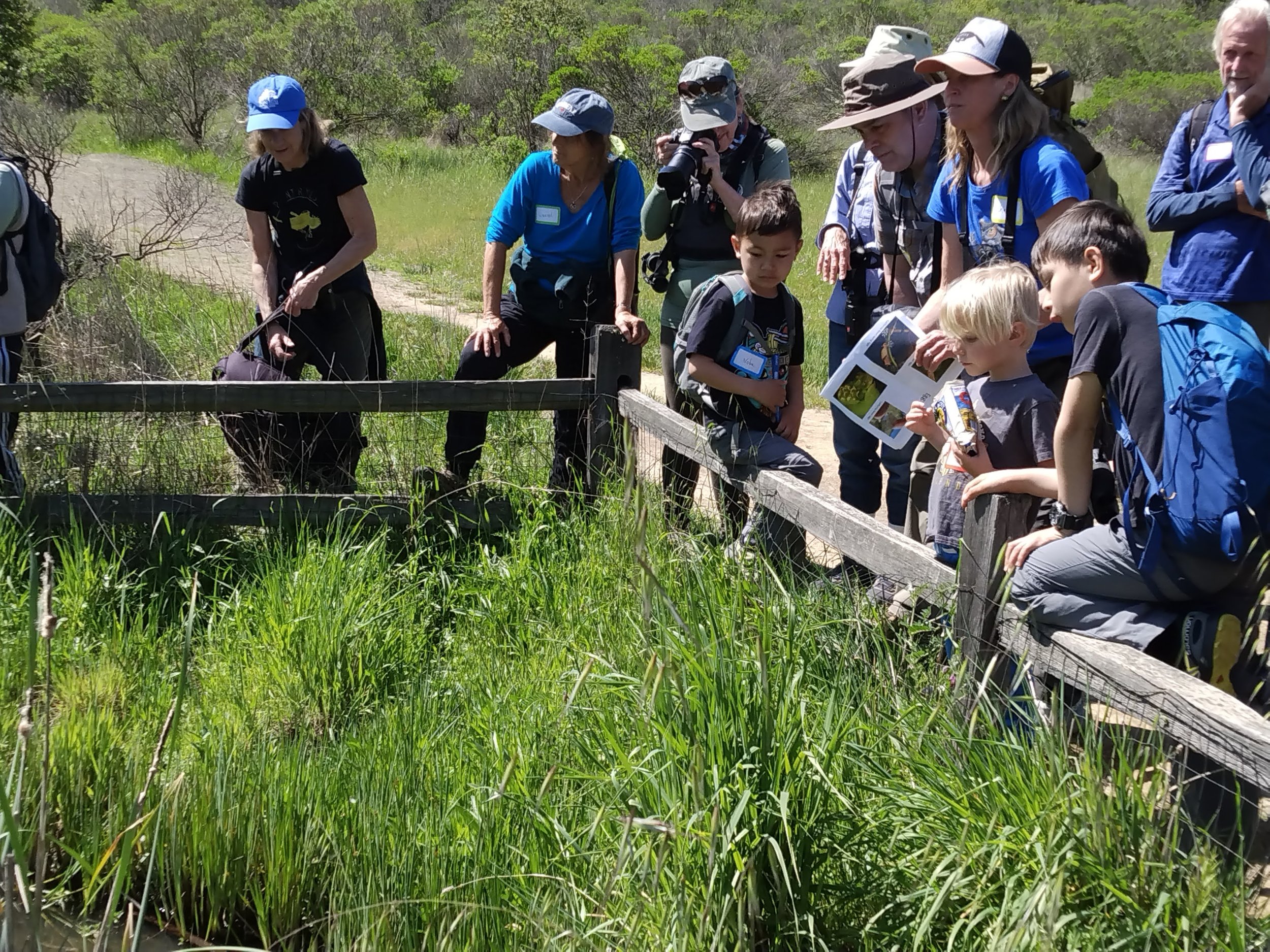 Point Reyes_Amphibian Walk_Nancy Deschu (3) (1).jpg