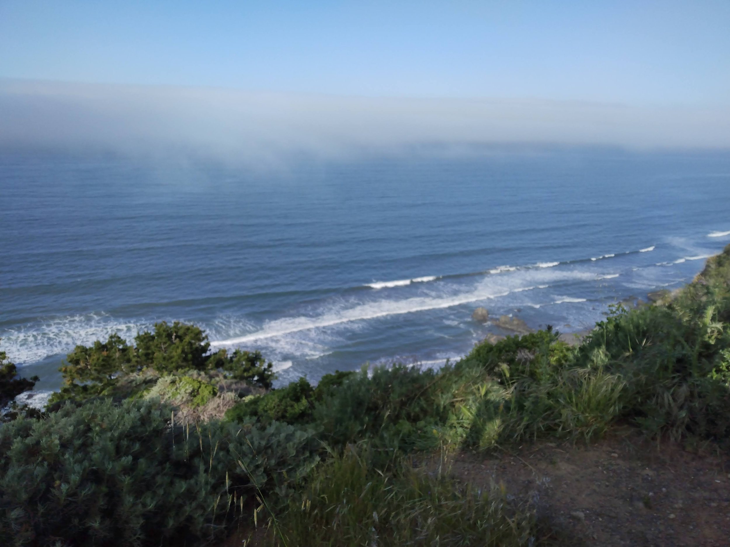 Point Reyes_Birding the Fault_April 2023_Nancy Deschu (2).jpg